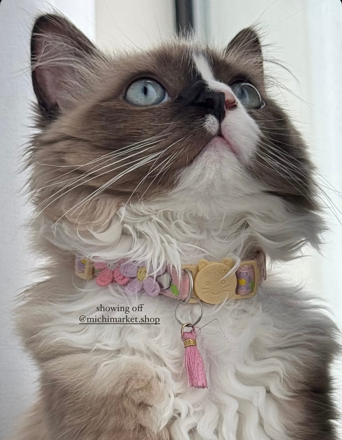 Collar Blossom