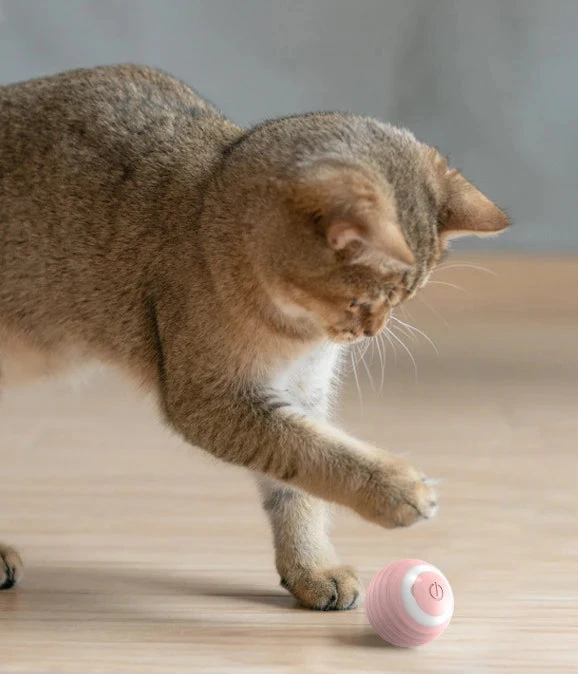 Pelota Mágica Automática