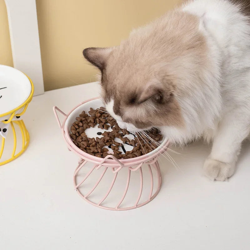 Plato Gatito Alto